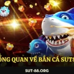 Giới thiệu về bắn cá Sut88